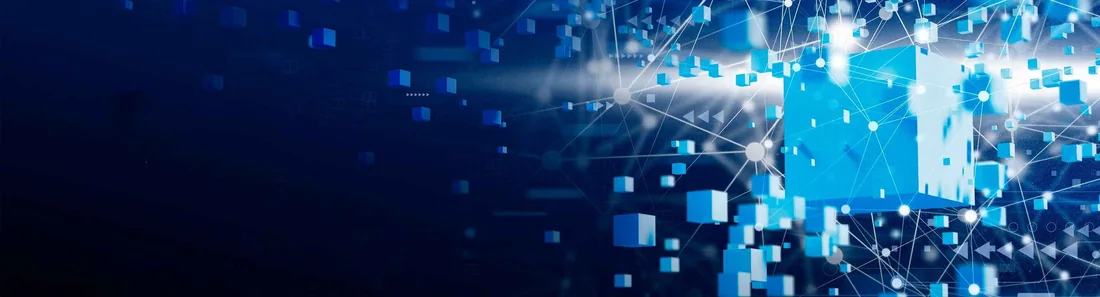 The PIN Network blockchain connections
