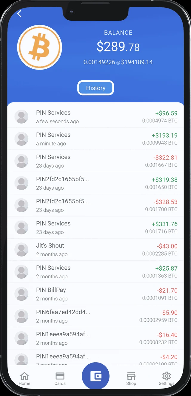 Pay It Now asset screen for Bitcoin with balance and history