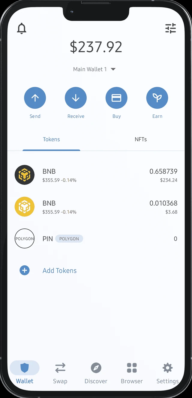 Pay It Now wallet screen showing a token list